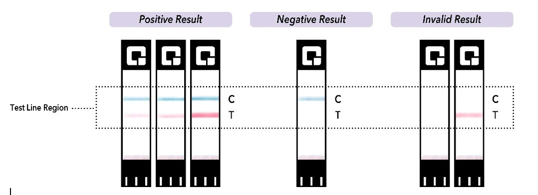 How Long Does Pcr Test Results Take Cvs CVS Health At Home COVID-19 Test Kit, 2 CT | Pick Up In Store TODAY at CVS